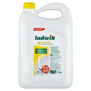 LUDWIK 5L MIĘTA